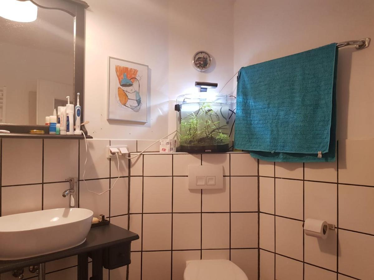 Aeltestes Haus In Quentel - Ferienwohnung 2 Mit Dachterrasse Lichtenau Dış mekan fotoğraf
