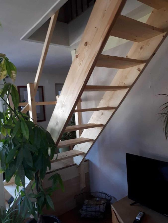 Aeltestes Haus In Quentel - Ferienwohnung 2 Mit Dachterrasse Lichtenau Dış mekan fotoğraf